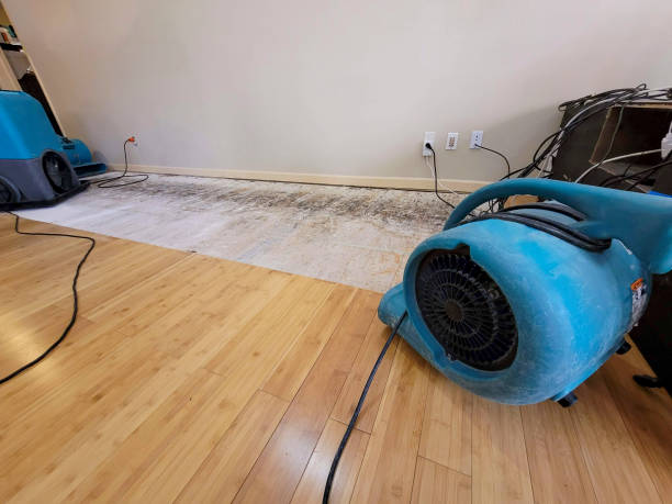Professional Flood Damage Cleanup technician working in Acra, NY
